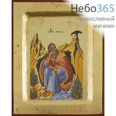 Икона на дереве 11х13 см, полиграфия, золотой фон, ручная доработка, основа МДФ, с ковчегом (BOSNB) (Нпл) Илия, пророк (Х2225), фото 1 