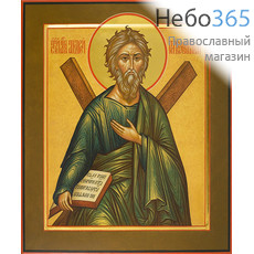  Андрей Первозванный, апостол. Икона писаная 27х31х3,8, цветной фон, золотой нимб, с ковчегом, фото 1 