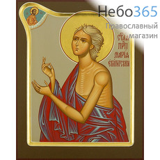  Мария Египетская, преподобная. Икона писаная 22х28х3,5, цветной фон, золотой нимб, с фигурным ковчегом, фото 1 