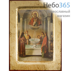  Икона на дереве B 2, 14х18, ручное золочение, с ковчегом икона Божией Матери Живоносный Источник (N09153), фото 1 