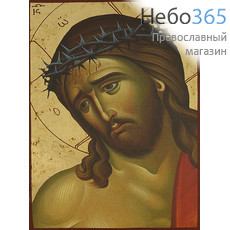  Икона на дереве B 3, 13х19, ручное золочение, без ковчега Иисус Христос - Жених Церковный (Спас в терновом венце) (3110), фото 1 