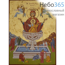  Икона на дереве B 3/S, 13х19, многофигурная, ручное золочение, без ковчега икона Божией Матери Живоносный Источник, фото 1 