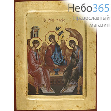  Икона на дереве B 4/S, 18х23, ручное золочение, многофигурная, с ковчегом Святая Троица (2845), фото 1 