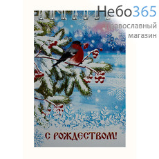  Блокнот рождественский, Снегирь на ветке, на пружине, с нелинованными листами, 7 х 10,5 см, фото 1 