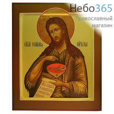  Иоанн Предтеча, пророк. Икона писаная (Шун) 21х25, темпера, цветной фон, золотой нимб, с ковчегом, фото 1 