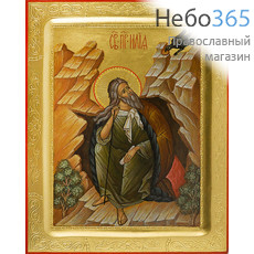  Илия, пророк. Икона писаная 16х21х2, золотой фон, резьба по золоту, с ковчегом, фото 1 