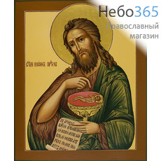 Иоанн Предтеча, пророк. Икона писаная 17х21х2,2, цветной фон, золотой нимб, без ковчега, фото 1 