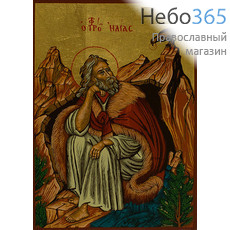  Икона шелкография (Гн) 12х17, 4SG, пророк Илия, золотой фон, фото 1 