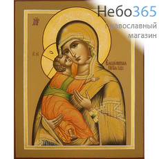  Владимирская икона Божией Матери. Икона писаная 19х23х2,5, цветной фон, золотые нимбы, без ковчега, фото 1 