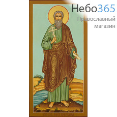  Андрей Первозванный, апостол. Икона писаная 13х25х2 см, цветной фон, золотой нимб, без ковчега (Зб), фото 1 