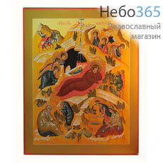  Рождество Христово. Икона писаная (Хв) 40х50, золотые нимбы, фото 1 