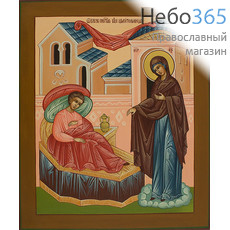  Целительница икона Божией Матери. Икона писаная 17х21, цветной фон, золотой нимб, без ковчега, фото 1 