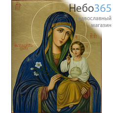  Неувядаемый Цвет икона Божией Матери. Икона писаная 17х21х2 см, золотой фон (поталь), без ковчега (Дб), фото 1 
