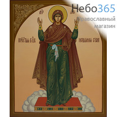  Нерушимая Стена икона Божией Матери. Икона писаная 17,5х21х2 см, цветной фон, золотой нимб, без ковчега (Зб), фото 1 