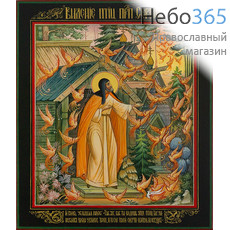  Сергий Радонежский, преподобный (с птицами). Икона писаная 17х21х2,2 см, цветной  фон, золотой нимб, без ковчега (Гл), фото 1 