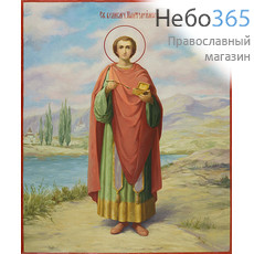  Пантелеимон, великомученик. Икона писаная 23,5х29,5х2,3 см, цветной фон, без ковчега (Мск), фото 1 