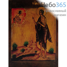  Мария Египетская, преподобная. Икона на дереве 30х39,5х2,8 см, печать на холсте (Су), фото 1 