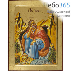  Илия, пророк. Икона на дереве (МДФ) 24х30х1,9 см, золотой фон, с ковчегом (Нпл) (B6NB) (Х2225), фото 1 