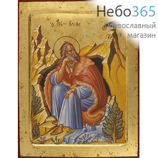  Илия, пророк. Икона на дереве, 24х31х2,5 см, ручное золочение, с ковчегом (Нпл) (В6), фото 1 