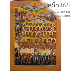  Сорок Севастийских мучеников. Икона на дереве 24х18 см,  печать на левкасе, золочение (СМ-33) (Тих), фото 1 