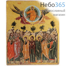  Вознесение Господне. Икона на дереве 29х35,5х2,5 см, покрытая лаком (П-3), фото 1 