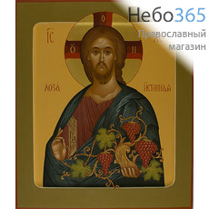  Древо Иисус Лоза Истины. Икона писаная (Хв) 27х31, цветной фон, золотой нимб, с ковчегом, фото 1 