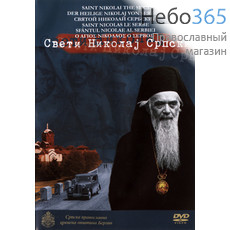  Святой Николай Сербский. DVD., фото 1 