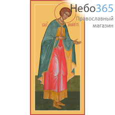 Фото: Димитрий Солунский великомученик, икона (арт.982)