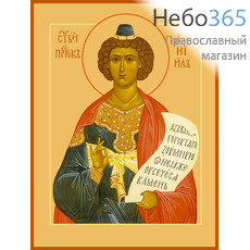Фото: Даниил пророк, икона (арт.499)