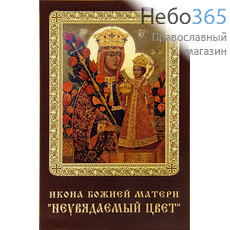  Икона ламинированная 5,5х8,5, с молитвой Божией Матери Неувядаемый Цвет, фото 1 