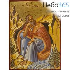  Икона на дереве, 13х19 см, ручное золочение, без ковчега (B 3) (Нпл) Илия, пророк (2225), фото 1 
