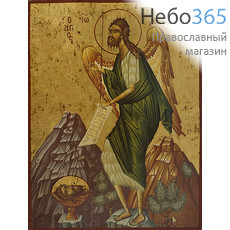  Икона на дереве B 5, 19х26, ручное золочение Иоанн Креститель, пророк (Ангел пустыни) (2843), фото 1 