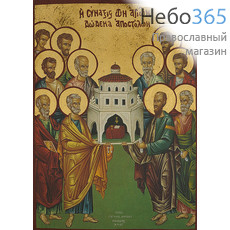  Икона на дереве (Нпл) B 5/S, 19х26, ручное золочение, многофигурная Собор двенадцати апостолов (2769), фото 1 