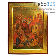  Икона на дереве (Нпл) B 6/S, 24х30 см., ручное золочение, многофигурная, с ковчегом Христос, исцеление страждующих, фото 1 