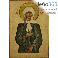  Икона на дереве (Тих) 8-12х12, печать на левкасе, золочение Ксения Петербургская, блаженная (КП-02), фото 1 