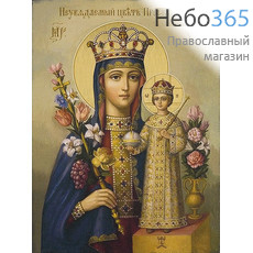  Икона на дереве 15х18 см, печать на холсте, копии старинных и современных икон (Су) икона Божией Матери Неувядаемый Цвет (2), фото 1 