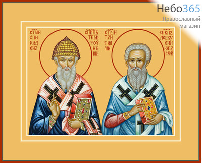 Фото: Спиридон Тримифунтский и Трифиллий, епископ Левкуссийский, святители, икона (арт.770)