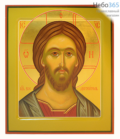  Спаситель. Икона писаная 21х25 см, цветной фон, золотой нимб, с ковчегом (Хв), фото 1 