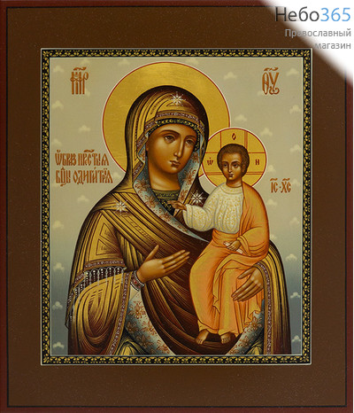  Одигитрия икона Божией Матери. Икона писаная (Шун) 21х25х3,8, цветной фон, золотые нимбы, без ковчега, фото 1 