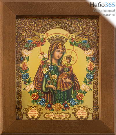  Икона в раме (Кз) 12х15 (в раме 16,5х19,5), прямая печать на поталь, под стеклом Божией Матери Неувядаемый Цвет, фото 1 