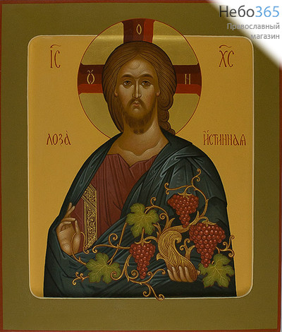  Древо Иисус Лоза Истины. Икона писаная (Хв) 27х31, цветной фон, золотой нимб, с ковчегом, фото 1 