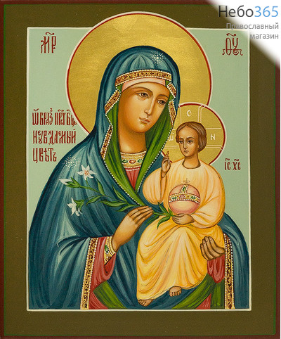  Неувядаемый Цвет икона Божией Матери. Икона писаная 13х16х2, цветной фон, золотые нимбы, без ковчега, фото 1 