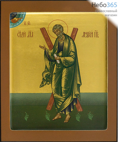  Андрей Первозванный, апостол. Икона писаная 22х28х3,5, золотой фон, с ковчегом, фото 1 