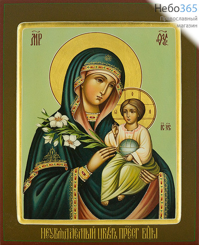  Неувядаемый Цвет икона Божией Матери. Икона писаная 22х28х3,8, цветной фон, золотые нимбы, с ковчегом, фото 1 