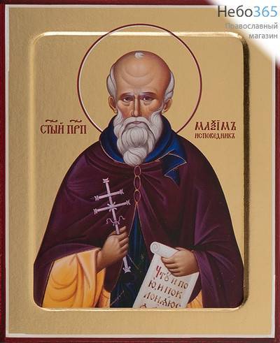  Максим Исповедник, преподобный. Икона на дереве 13х16х2,5 см, золотой фон, с ковчегом (Зх), фото 1 