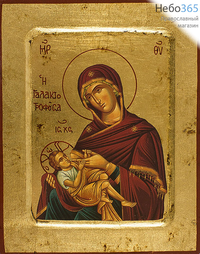  Икона на дереве, 14х18 см, ручное золочение, с ковчегом (B 2) (Нпл) икона Божией Матери Млекопитательница (2676), фото 1 
