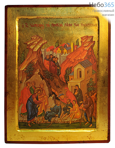  Икона на дереве (Нпл) B 6/S, 24х30 см., ручное золочение, многофигурная, с ковчегом Христос, исцеление страждующих, фото 1 