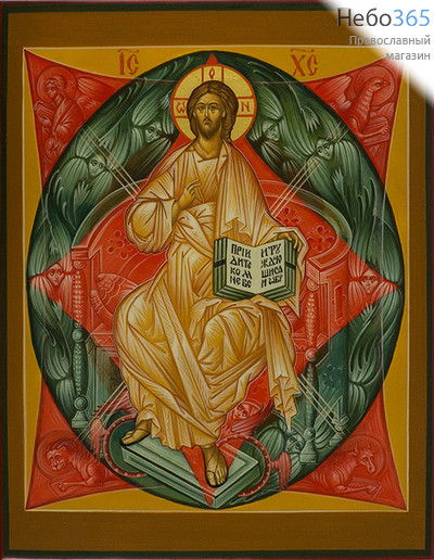  Спас в Силах. Икона писаная 22х28, цветной фон, золотой нимб, без ковчега, фото 1 