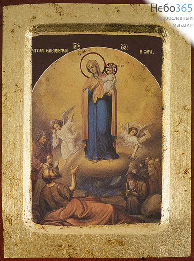  Икона на дереве, 14х18 см, ручное золочение, с ковчегом (B 2) (Нпл) икона Божией Матери Всех скорбящих Радость (N09090), фото 1 