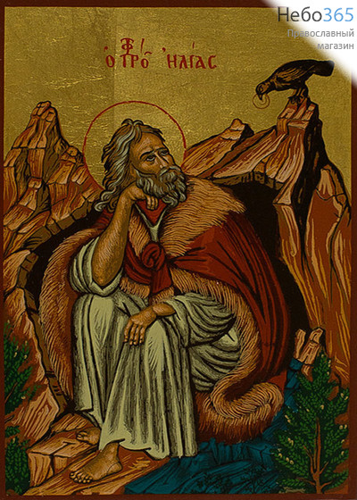  Икона шелкография (Гн) 12х17, 4SG, пророк Илия, золотой фон, фото 1 